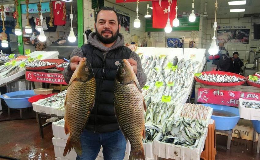 Tezgahlar çinekop ile şenlendi! Fiyatı 150 TL