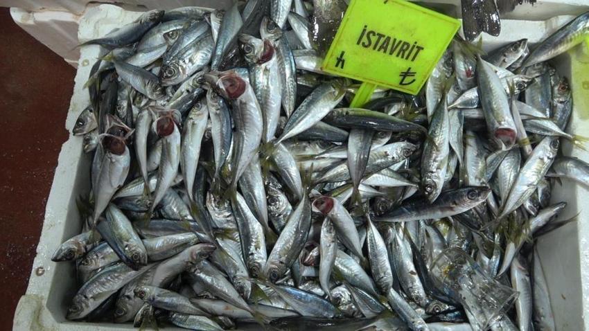 Tezgahlar çinekop ile şenlendi! Fiyatı 150 TL