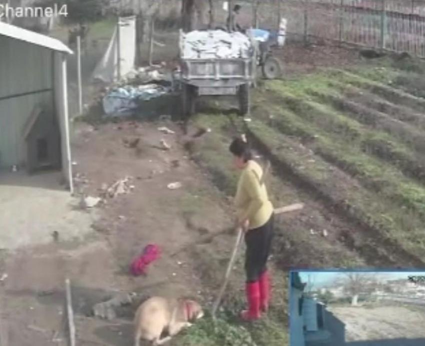 Boş arazilere bina yapıp kiraya verdi! Skandal kavgada ortaya çıktı