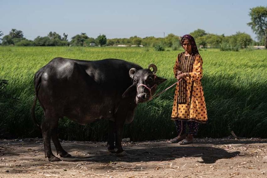 Demirören foto muhabirlerinin gözünden 2022 böyle geçti!