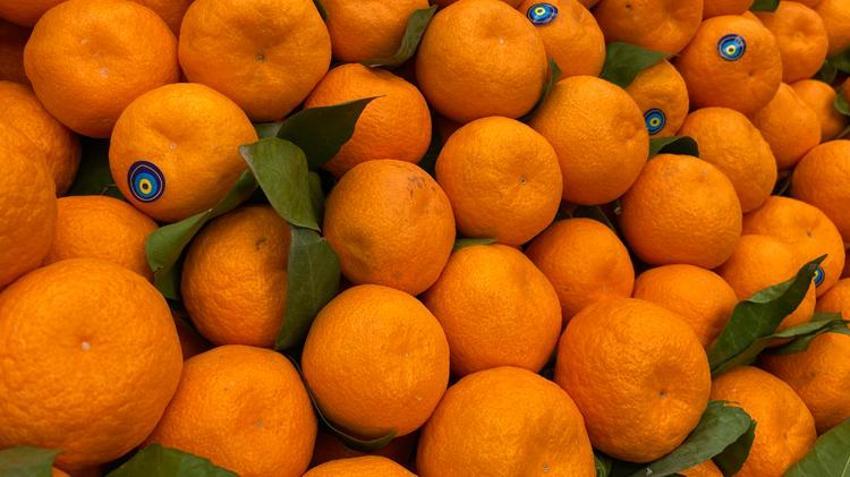 Çocuklarda bağışıklığı güçlendiriyor, tam bir vitamin deposu!