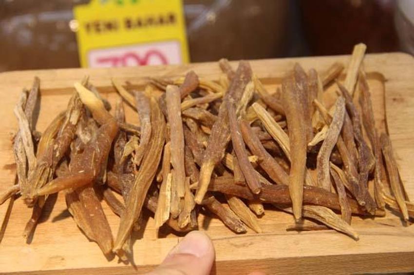 Doğal afrodizyak! Gelenler 100 gram alabiliyor, 4 yılda bir yetişiyor