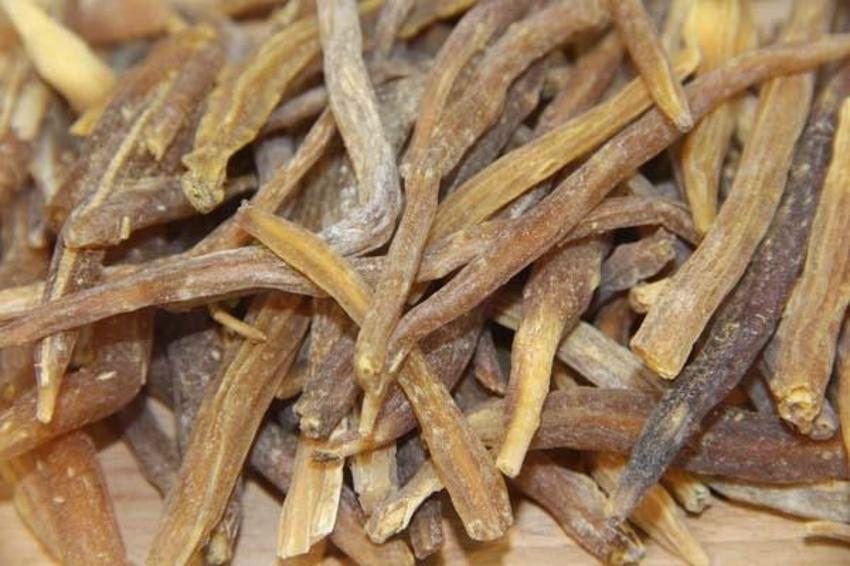 Doğal afrodizyak! Gelenler 100 gram alabiliyor, 4 yılda bir yetişiyor