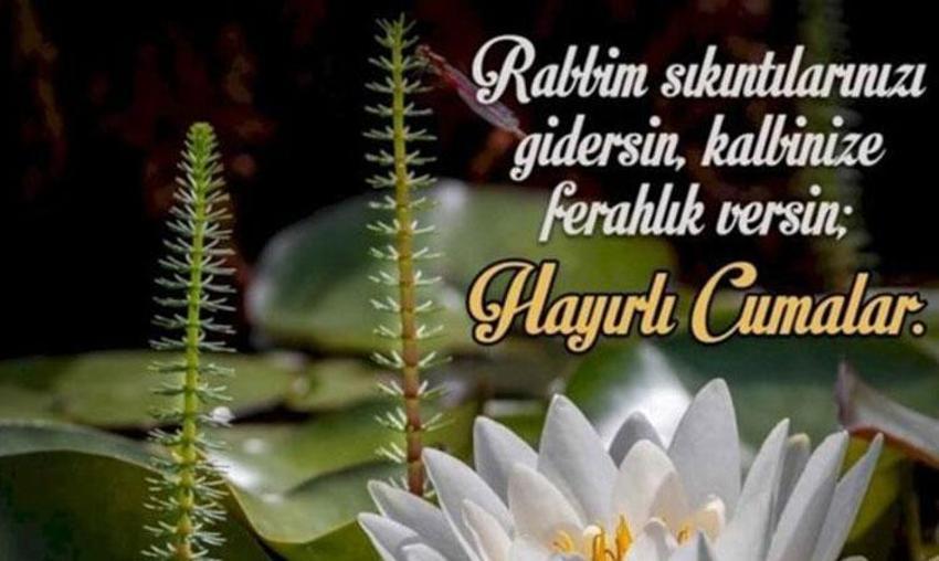 Hayırlı cumalar resimli cuma mesajları 13 Ocak 2023! Cumaya özel resimli, ayetli, hadisli ve dualı hayırlı cumalar mesajları ve Peygamberimizin Cuma sözleri!