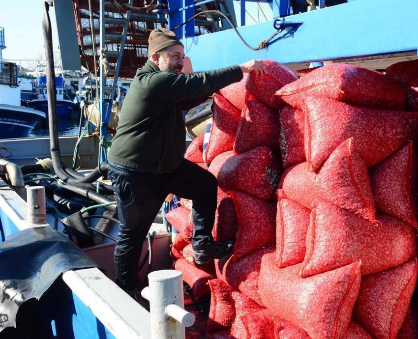 Kum midyesinden her gün tonlarca  avlayıp, dünyanın dört bir yanına ihraç ediyorlar