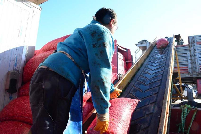 Kum midyesinden her gün tonlarca  avlayıp, dünyanın dört bir yanına ihraç ediyorlar