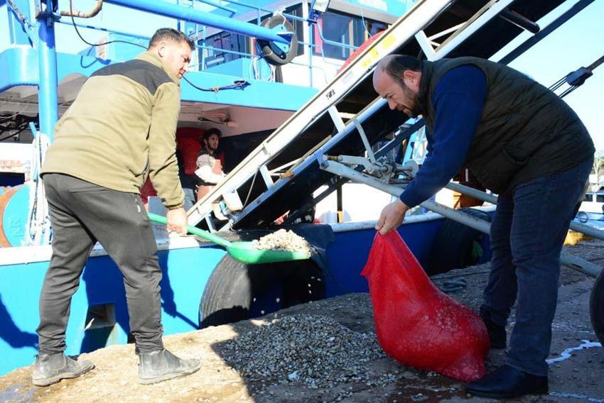 Kum midyesinden her gün tonlarca  avlayıp, dünyanın dört bir yanına ihraç ediyorlar
