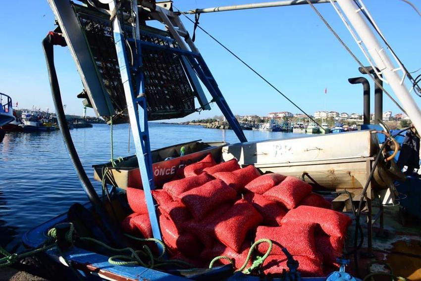 Kum midyesinden her gün tonlarca  avlayıp, dünyanın dört bir yanına ihraç ediyorlar