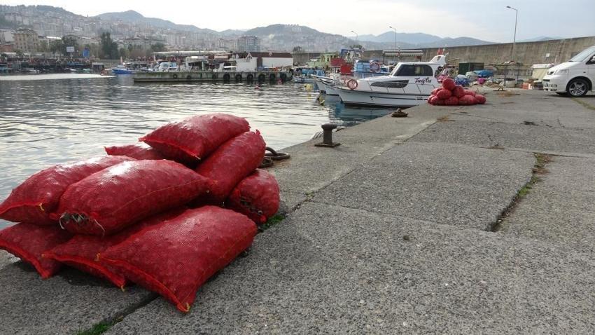 Deniz salyangozu ihracatı ile Türkiye'ye dolar yağdı