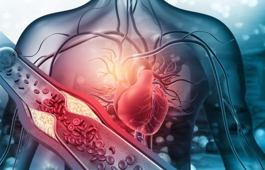 Kan şekerini düzenliyor, tansiyon ve kolesterole şifa! 10 dakika kuralı mucizeler yaratıyor