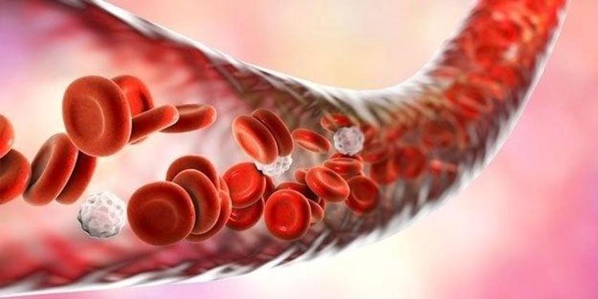 Tıkalı damarların düşmanı 5 besini mutfağınızdan eksik etmeyin!