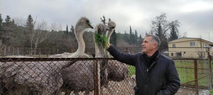 Sıcak hava genetiklerini değiştirdi! Kışın yumurtlamaya başladılar