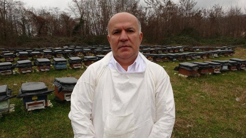 Küresel ısınma 'arıları' da etkiledi! Uyuması gerekirken uçuyorlar