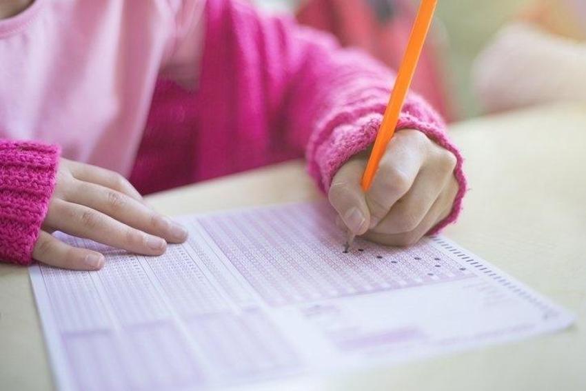 KPSS branş sıralamasına nasıl bakılır? ÖSYM 2022 (KPSS Lisans, Ön Lisans, Ortaöğretim) branş bazında sıralama nasıl bakılır? 