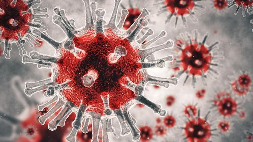 Strep A bakterisi belirtileri nelerdir? Streptokok nedir, Streptokok Strep A bakterisi tedavisi var mı, Strep A hastalığı nasıl bulaşır?