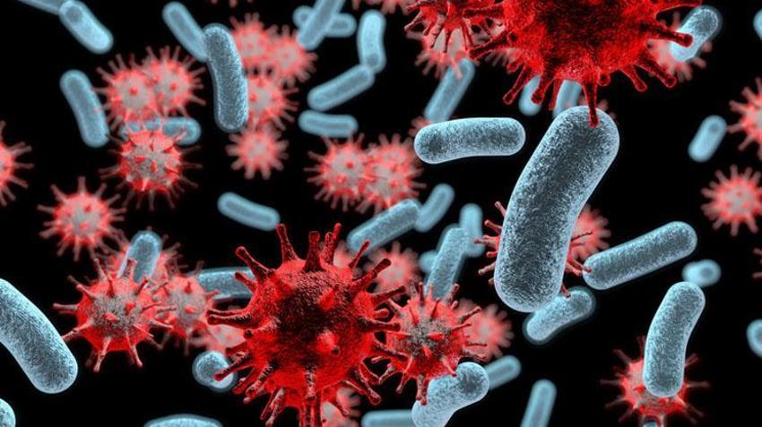 Strep A bakterisi belirtileri nelerdir? Streptokok nedir, Streptokok Strep A bakterisi tedavisi var mı, Strep A hastalığı nasıl bulaşır?