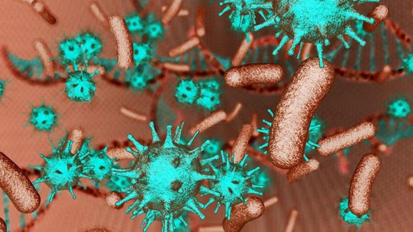 Strep A bakterisi belirtileri nelerdir? Streptokok nedir, Streptokok Strep A bakterisi tedavisi var mı, Strep A hastalığı nasıl bulaşır?