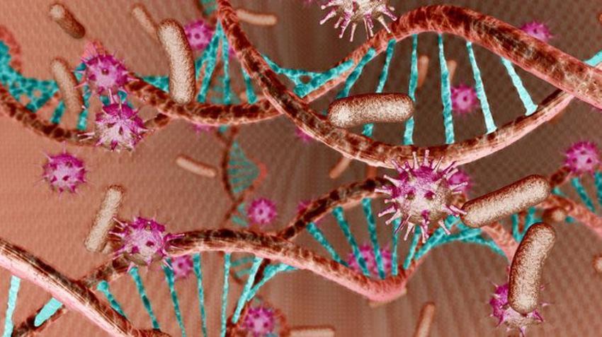 Strep A bakterisi belirtileri nelerdir? Streptokok nedir, Streptokok Strep A bakterisi tedavisi var mı, Strep A hastalığı nasıl bulaşır?