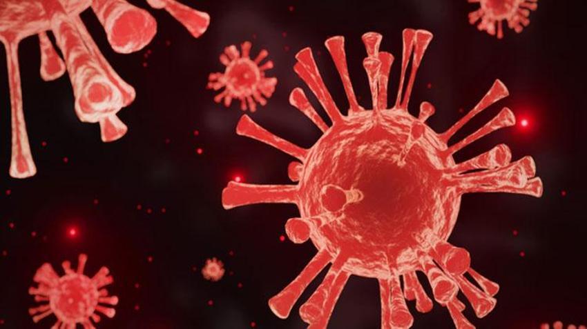 Strep A bakterisi belirtileri nelerdir? Streptokok nedir, Streptokok Strep A bakterisi tedavisi var mı, Strep A hastalığı nasıl bulaşır?