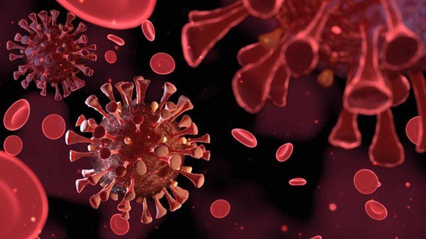 Strep A bakterisi belirtileri nelerdir? Streptokok nedir, Streptokok Strep A bakterisi tedavisi var mı, Strep A hastalığı nasıl bulaşır?