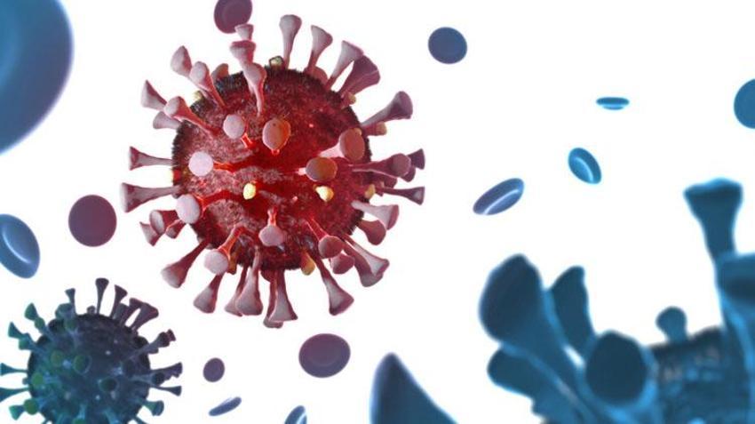 Strep A bakterisi belirtileri nelerdir? Streptokok nedir, Streptokok Strep A bakterisi tedavisi var mı, Strep A hastalığı nasıl bulaşır?