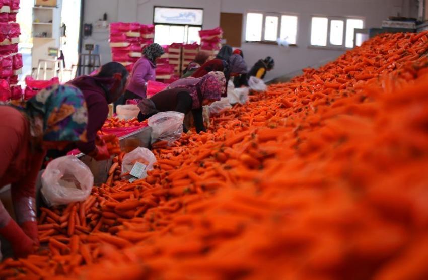 Ocak ayında elle sökümü yapıldı! Dünya pazarına hazırlanıyor