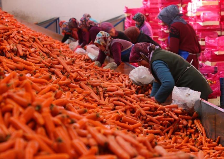 Ocak ayında elle sökümü yapıldı! Dünya pazarına hazırlanıyor