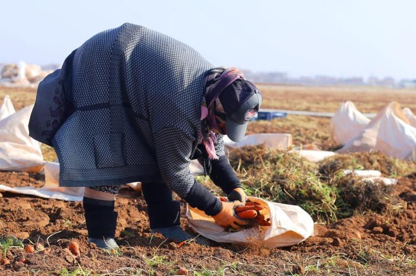 Ocak ayında elle sökümü yapıldı! Dünya pazarına hazırlanıyor