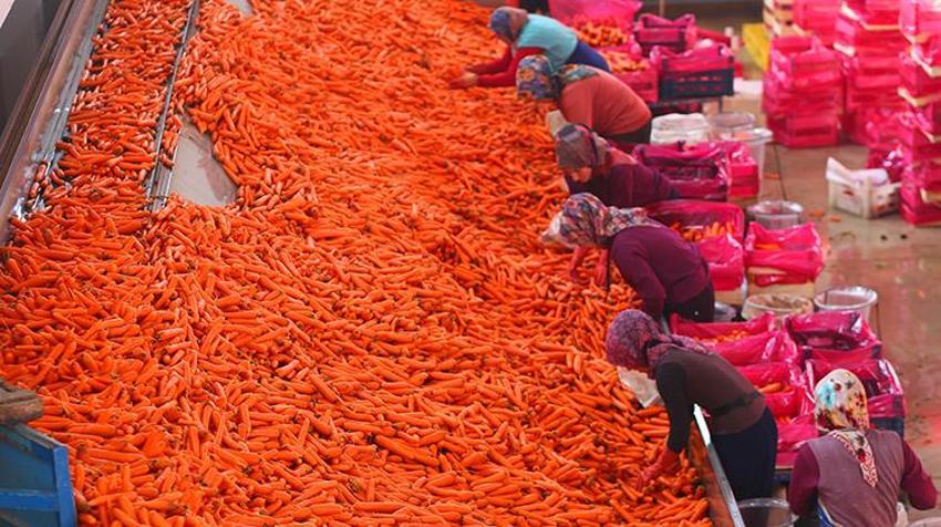 Ocak ayında elle sökümü yapıldı! Dünya pazarına hazırlanıyor