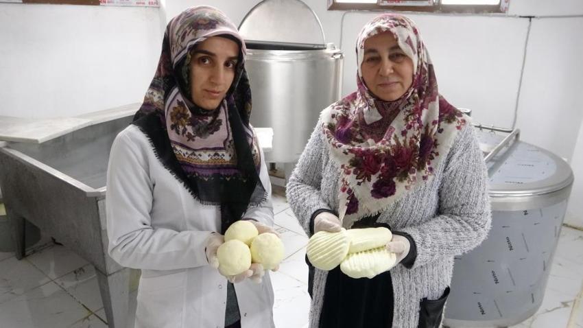 Kilosu 160 TL'den satılıyor! Gelin kaynana birlikte iş kurdu