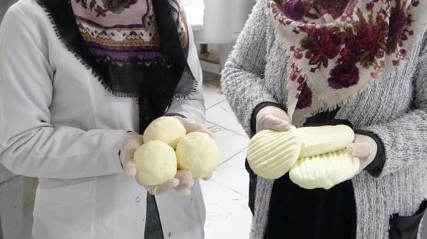 Kilosu 160 TL'den satılıyor! Gelin kaynana birlikte iş kurdu