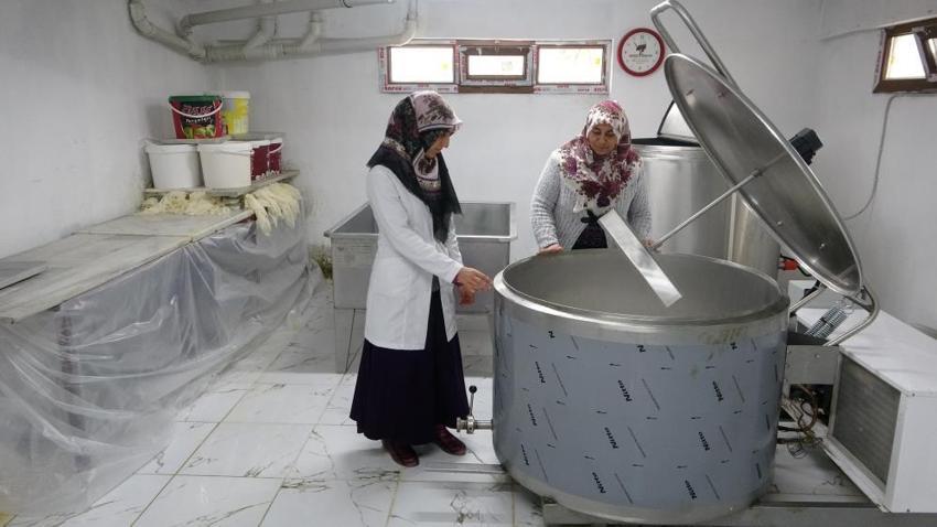 Kilosu 160 TL'den satılıyor! Gelin kaynana birlikte iş kurdu