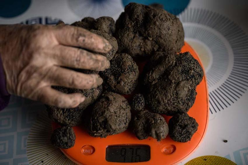 Fransa, İtalya ve Meksika'da süper besin savaşları! 'Siyah elmas'ın kilosu 3 bin dolar