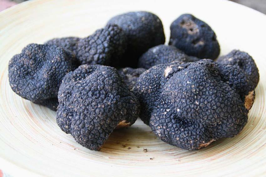 Fransa, İtalya ve Meksika'da süper besin savaşları! 'Siyah elmas'ın kilosu 3 bin dolar