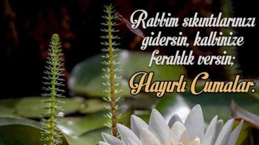 Cuma mesajı deprem sözleri ve Hz. Muhammed'in deprem sözleri! Anlamlı, en güzel, hadisli, dualı Cuma mesajları kısa ve öz resimsiz resimli seçenekleriyle burada! Deprem cuma mesajları