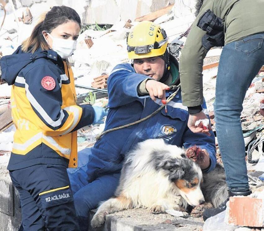 Charlie Hebdo'nun skandal deprem karikatürüne en güzel cevap Yunanistan'dan geldi!
