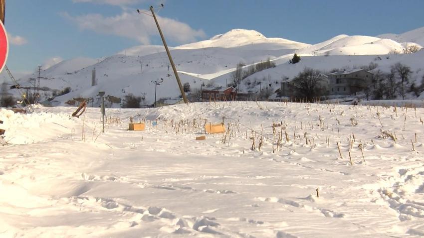 Deprem sonrası ortaya çıktı! Köyde tarlalar 3 metre yükseldi