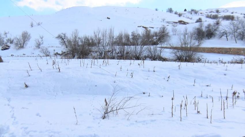 Deprem sonrası ortaya çıktı! Köyde tarlalar 3 metre yükseldi