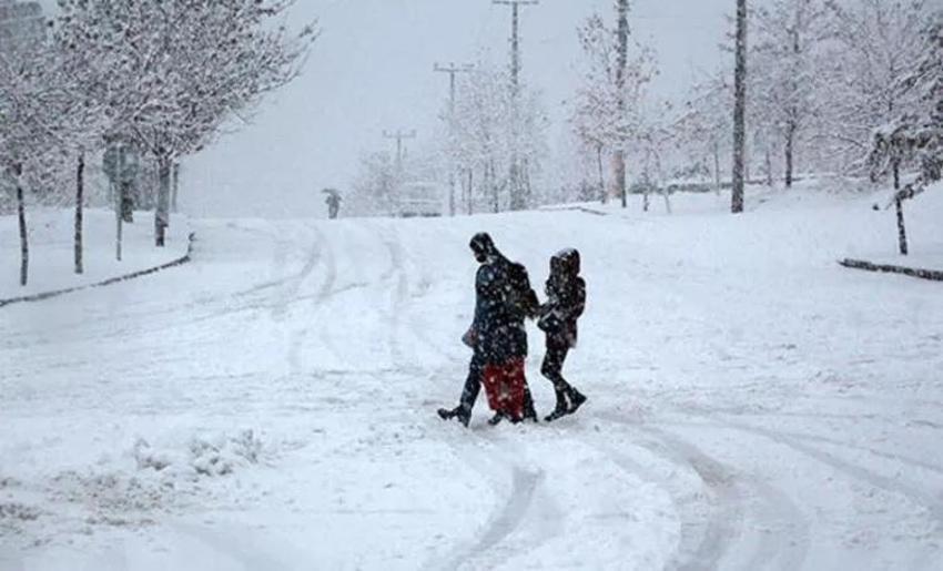 Artvin yarın okullar tatil mi? 20 Şubat Pazartesi Artvin'de okullar tatil mi? Valilik açıkladı!