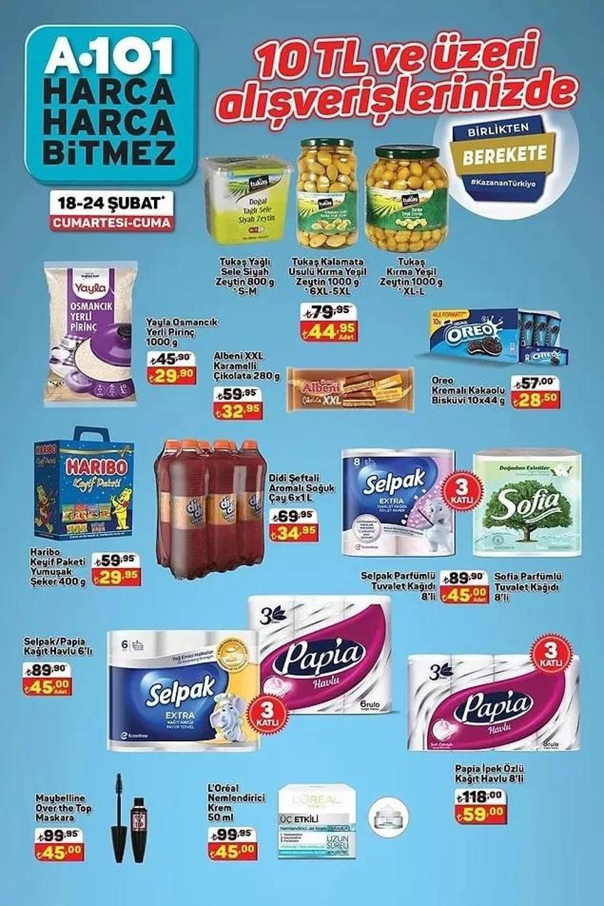 A101 25 Şubat katalog 2023 yayınlandı! İndirimli ürünler listesi... 8'li tuvalet kağıdı 45 TL, 830 Gr Salça 36 TL