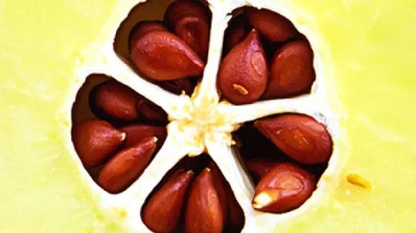 Bir yudumu cinsel isteği artırıyor Kaynatıp içilince çarpıntıdan eser kalmıyor
