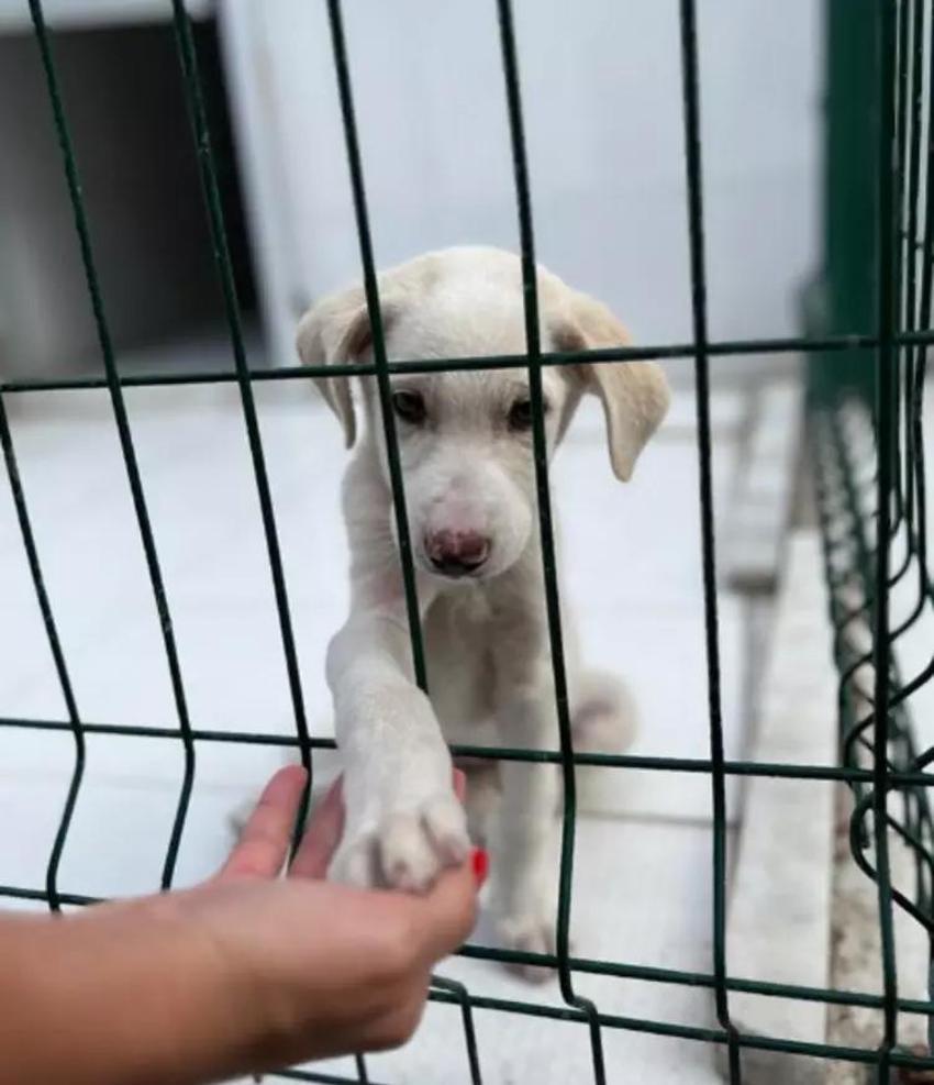 Özge Özder anlatırken duygulandı: Kızıma deprem düdüğü çalmayı öğrettim