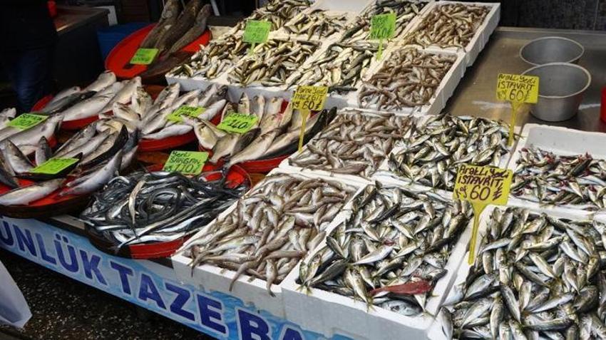 Hamsi sezonu kapattı, vatandaş istavrit ve mezgite yöneldi