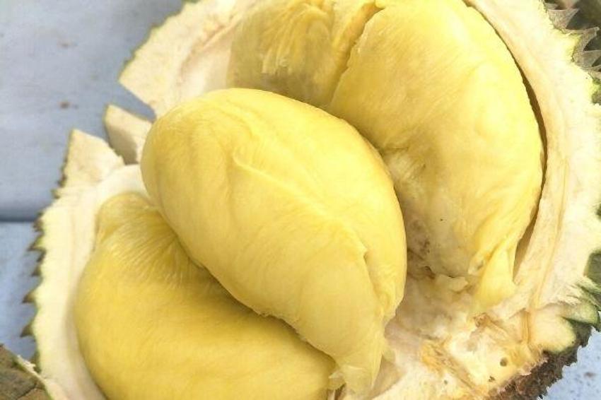 Durian meyvesi nedir, fiyatı ne? Durian kokusu nasıl, durian meyvesi nerede yetişir? THY uçağı kokudan acil iniş yaptı!