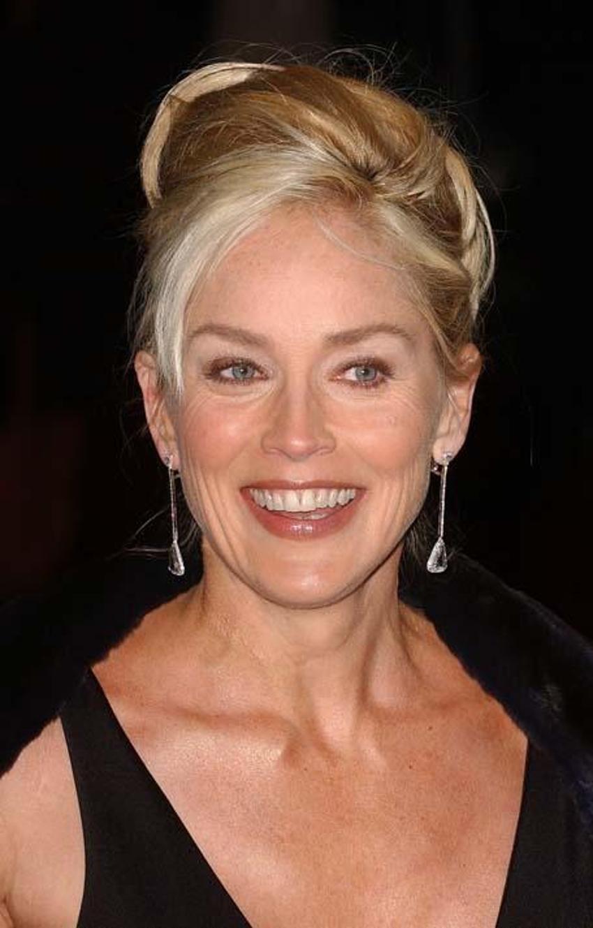 Sharon Stone, anlatırken gözyaşlarına hakim olamadı: Servetimin yarısını kaybettim 