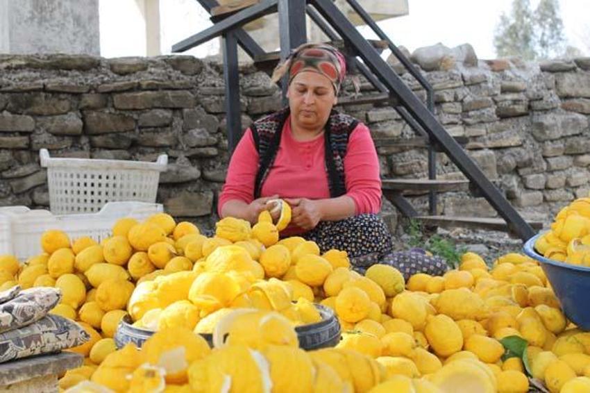 Kurutup 18 liraya satıyorlar! Geçim kaynağı oldu: Her alanda kullanılıyor