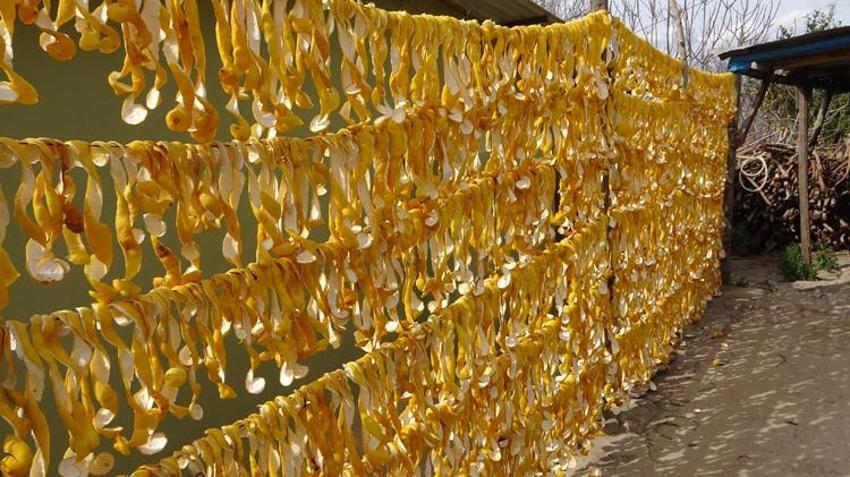 Kurutup 18 liraya satıyorlar! Geçim kaynağı oldu: Her alanda kullanılıyor