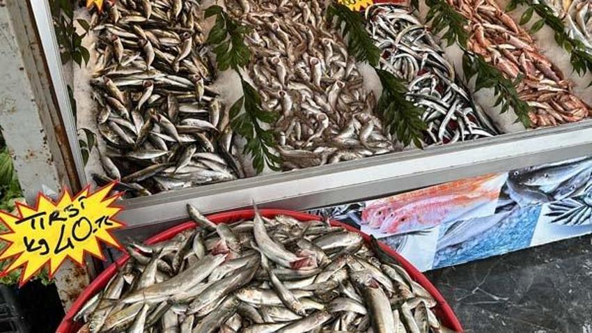 Kilosu 40 lira! Hamsiden sonra tezgahların yeni gözdesi oldu