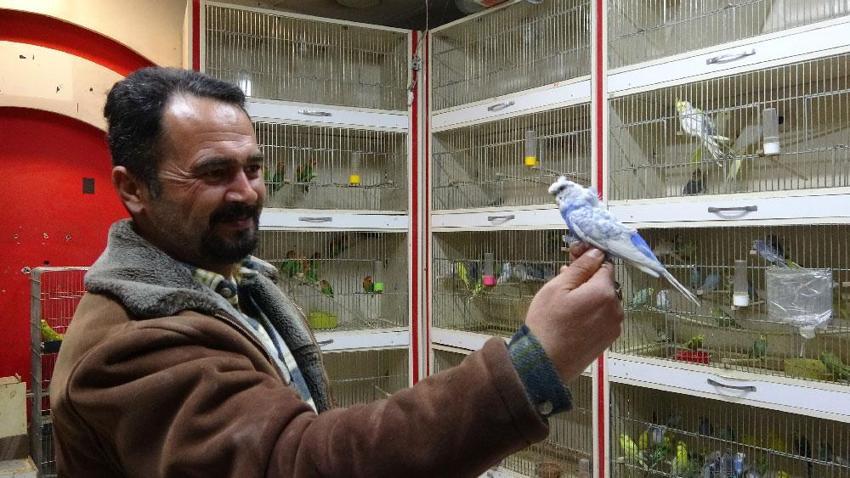 ‘Deprem kuşu’na büyük talep var! Saniyeler öncesinden haber veriyorlar