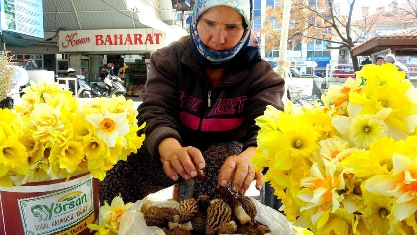 Kan şekerini düzenliyor, diyabet ve kansere karşı savaşçı! Kilo fiyatı altınla yarışıyor